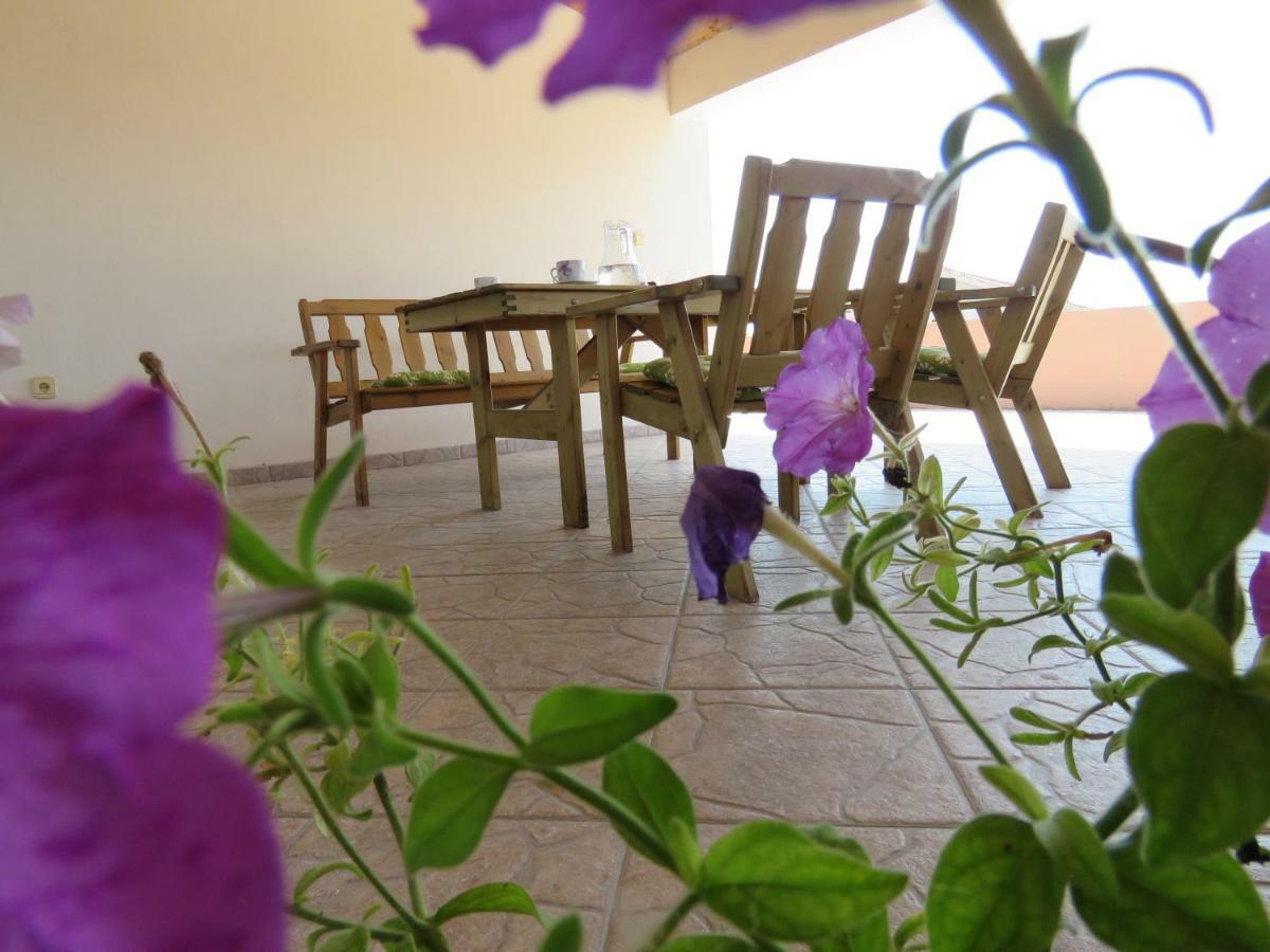 Guesthouse Dila Galovac  외부 사진